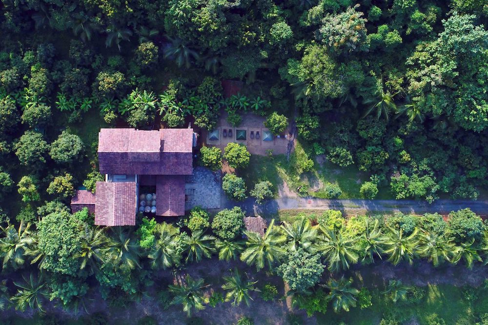 Featured Image Arwa Farms Dahanu Maharashtra
