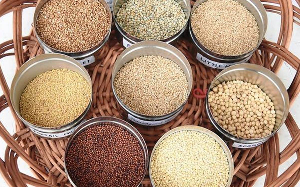 India to export Organic Millets from Himalayas to Denmark