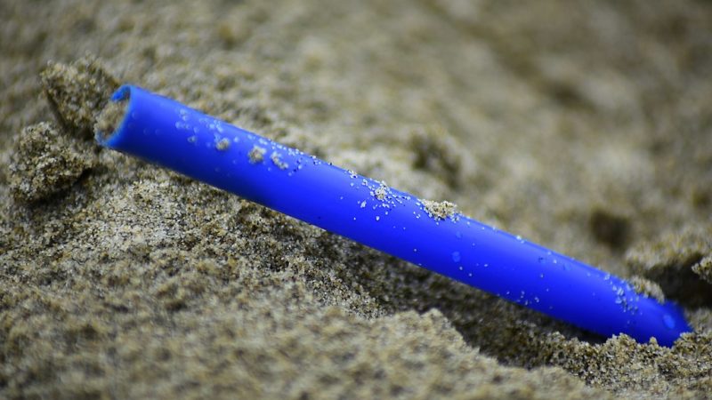 5 great alternatives to Plastic Straws