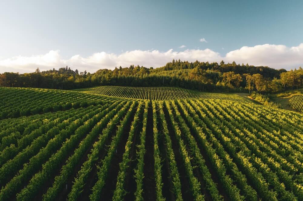 Top 10 Agritech Startups In India helping Farmers