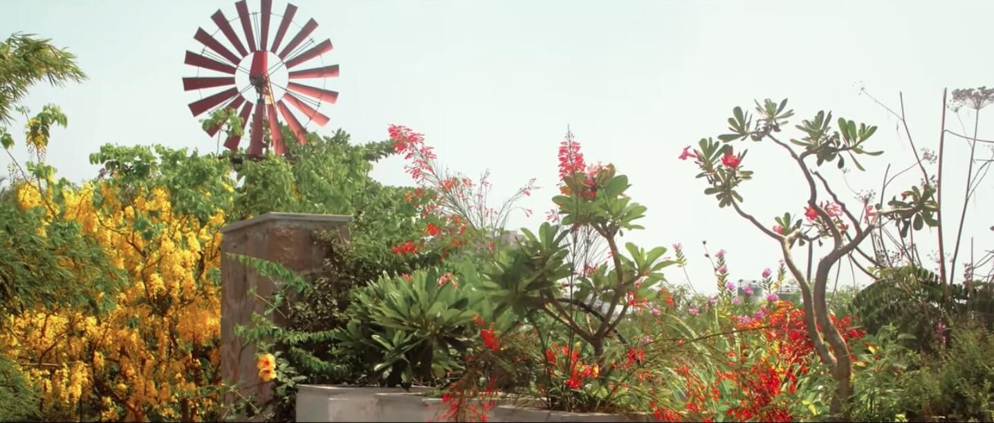 Eco-Home in Surat by Snehal Patel