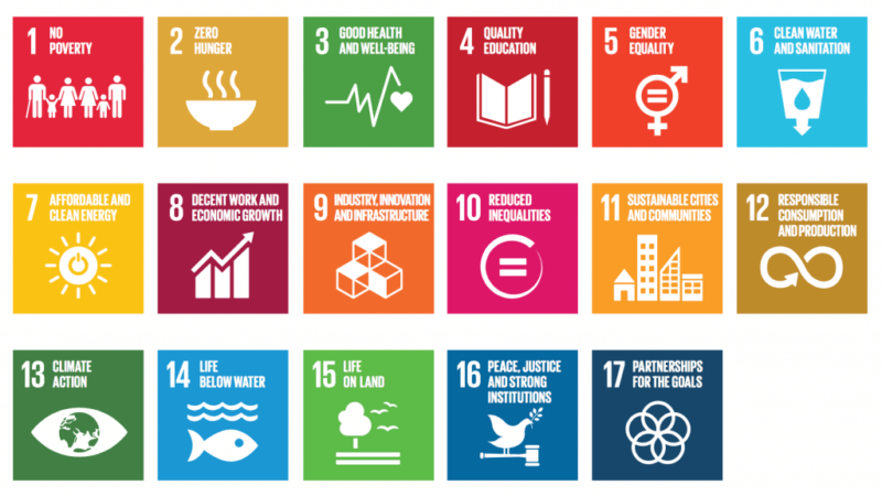 Sustainable Development Goals SDG (1)