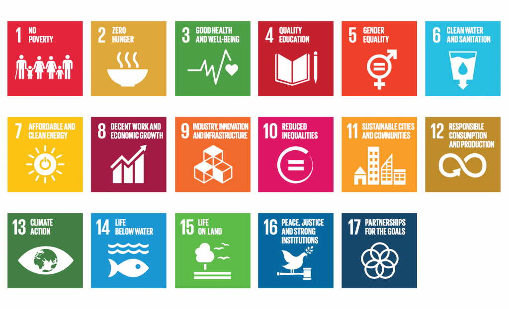 Sustainable Development Goals SDGs - Prakati India