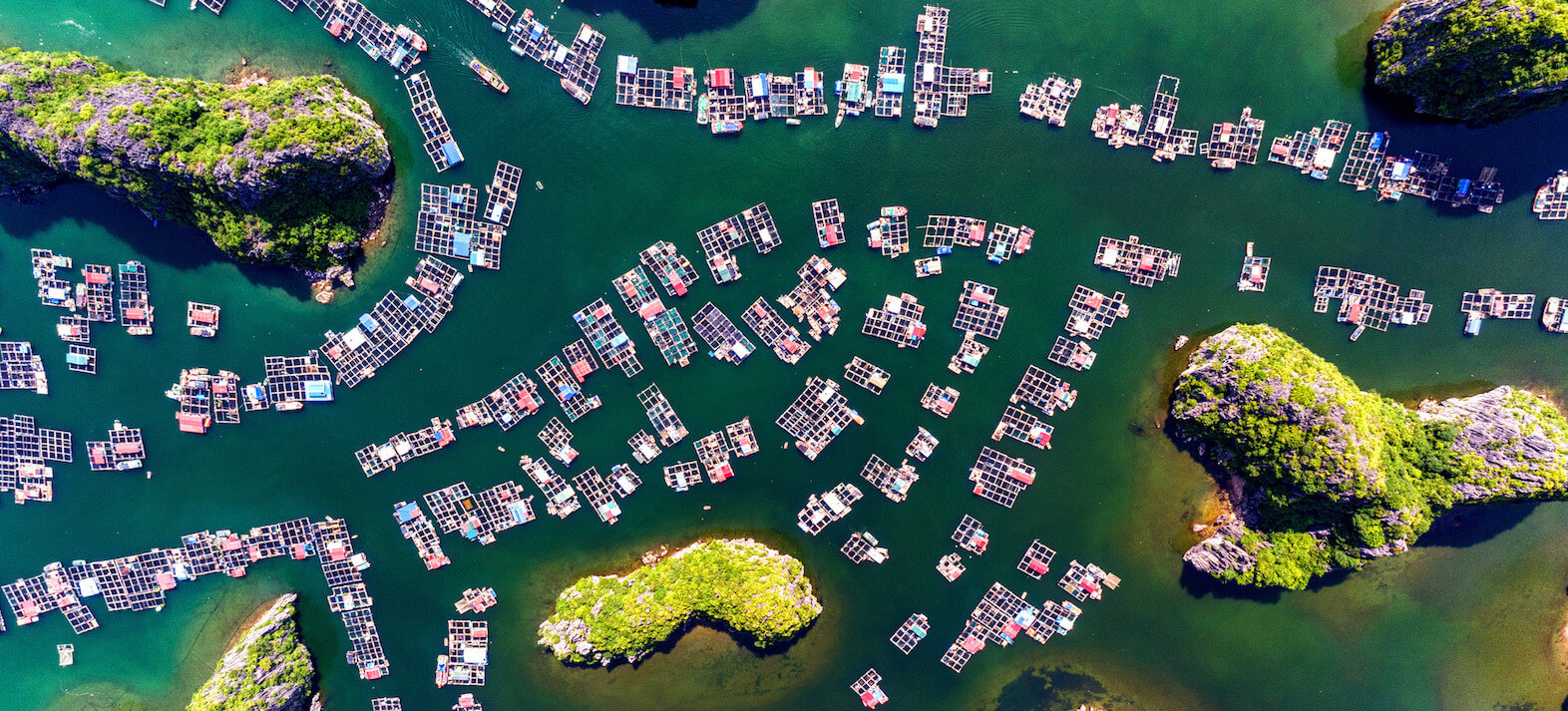 WEF releases The Future Of Nature And Business Report