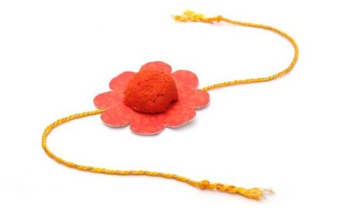 Best Plantable, Eco-Friendly Seed Rakhi You can buy in 2022